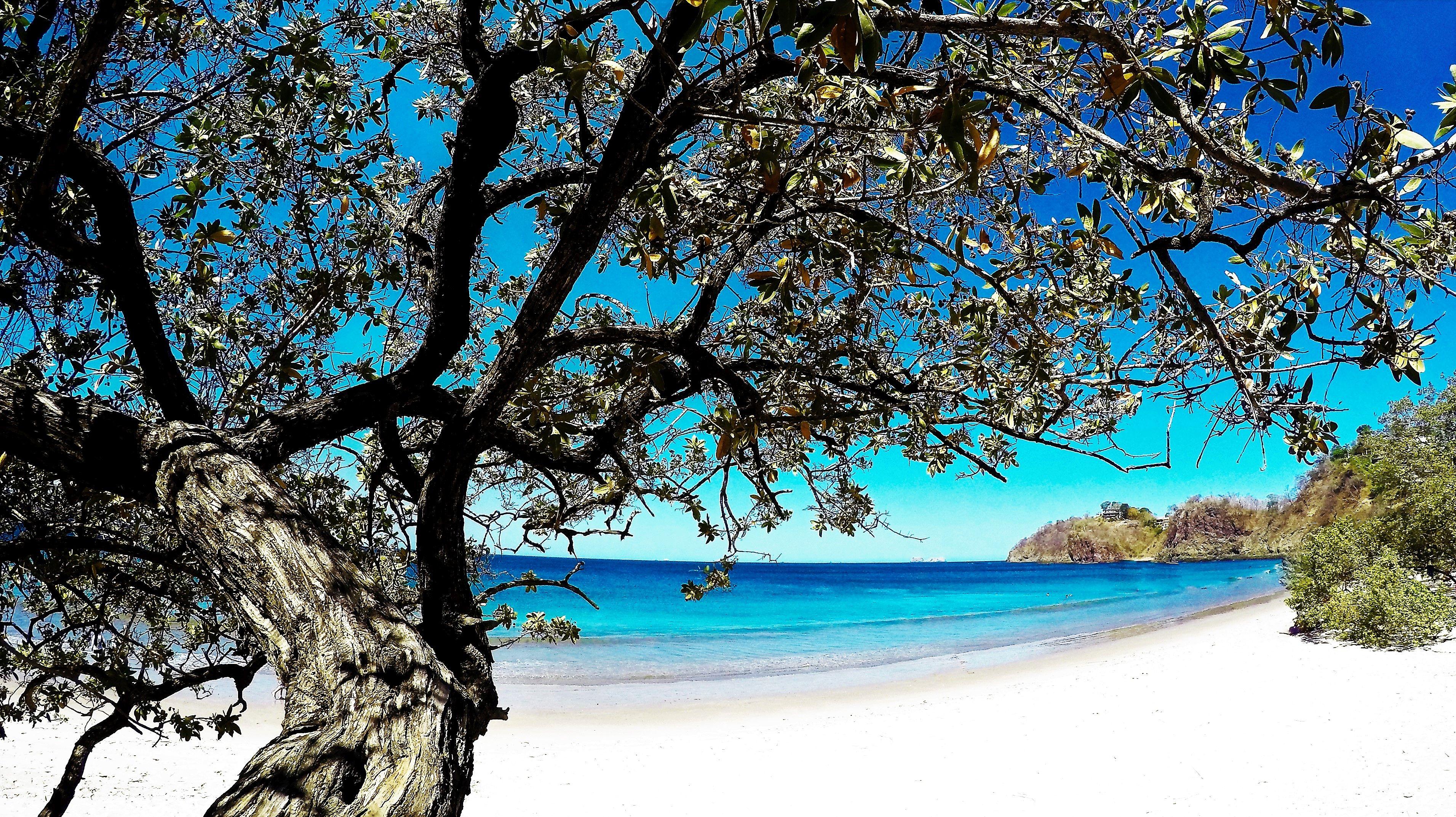 Margaritaville Beach Resort Playa Flamingo Eksteriør bilde