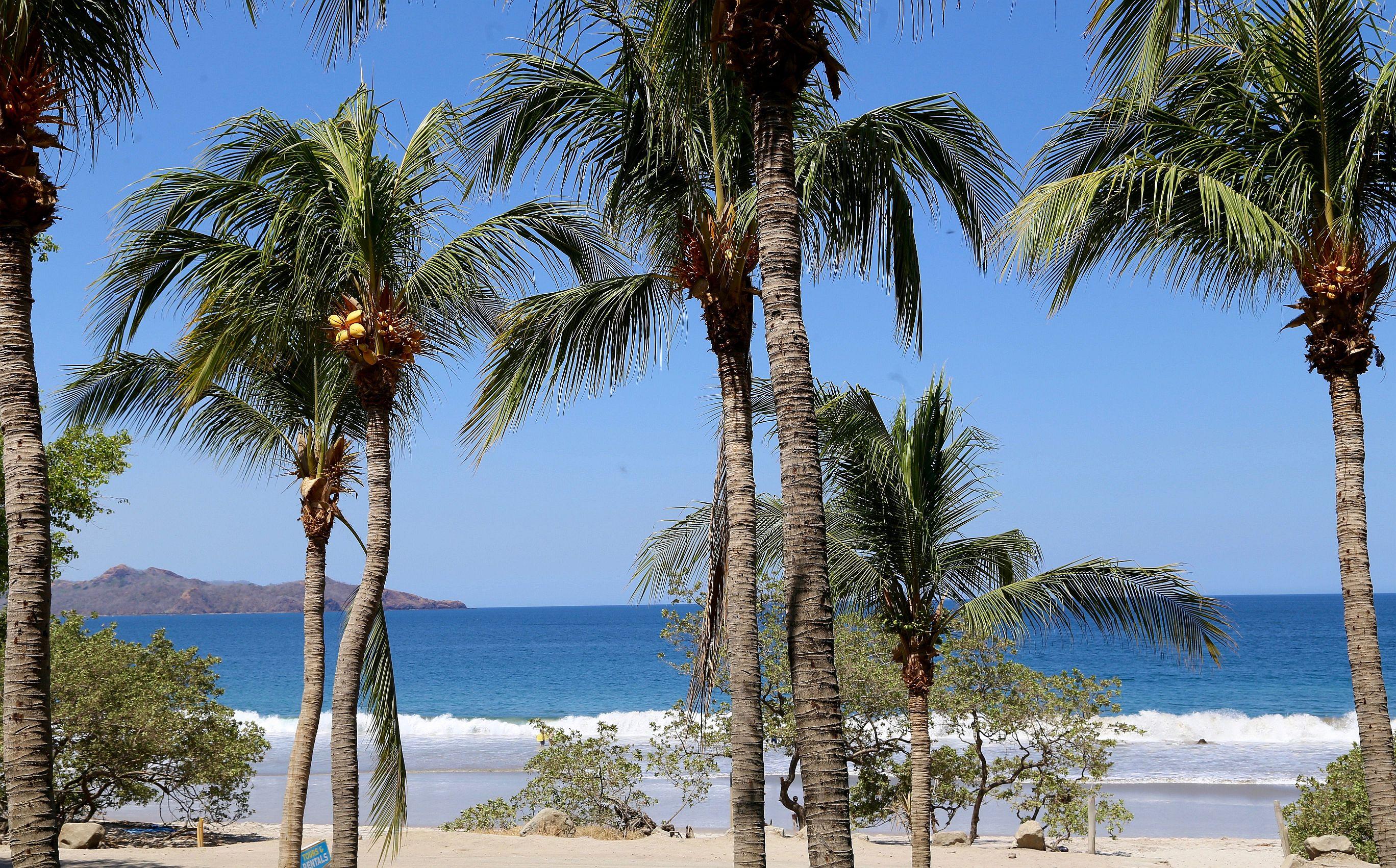 Margaritaville Beach Resort Playa Flamingo Eksteriør bilde