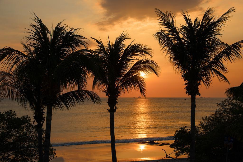Margaritaville Beach Resort Playa Flamingo Eksteriør bilde